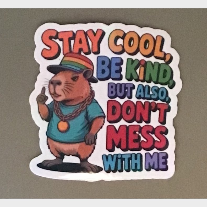 Stay cool, be kind, but also, don�t mess with me 8 x 7,5 cm